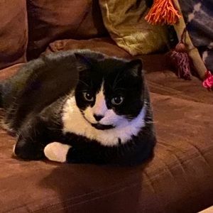 Meet your Posher, Matt